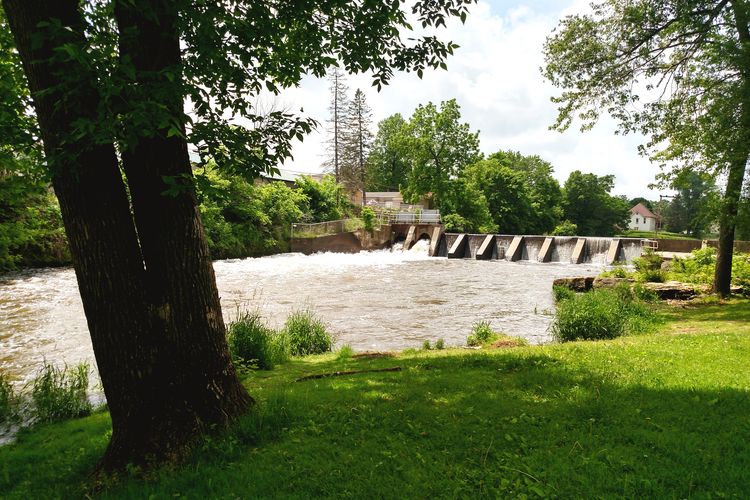 Belleville, WI Homes for Sale and Realtors