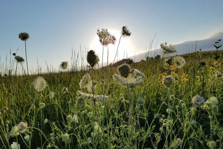 Waunakee, WI Homes for Sale & Real Estate